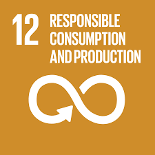 SDG 13